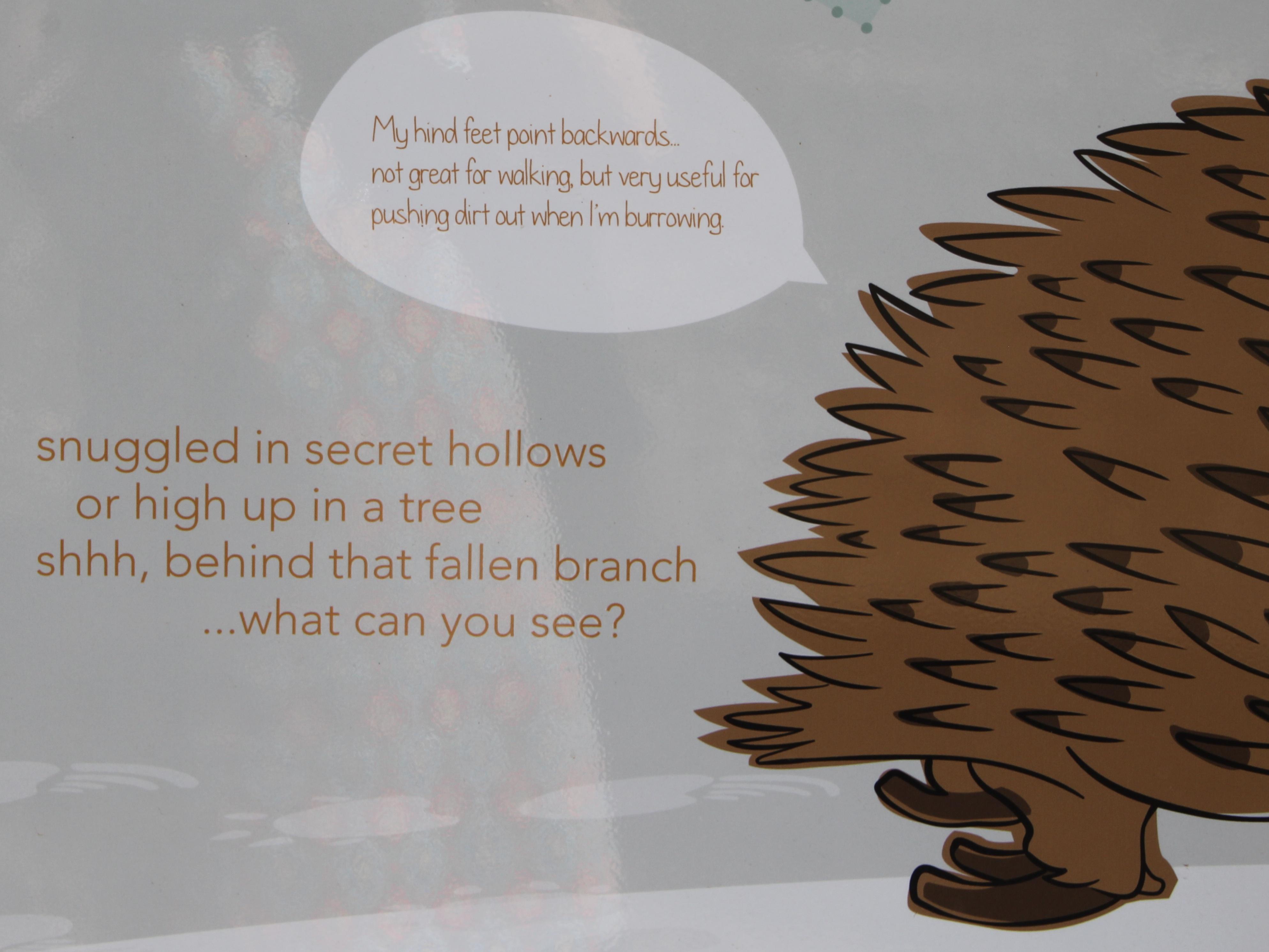 panel_1_echidna2